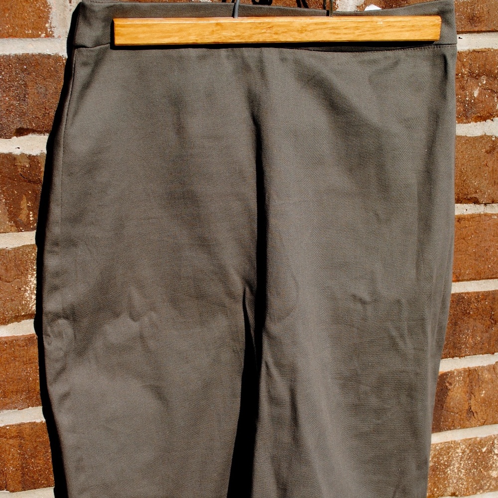 BNWOT Pencil Skirt